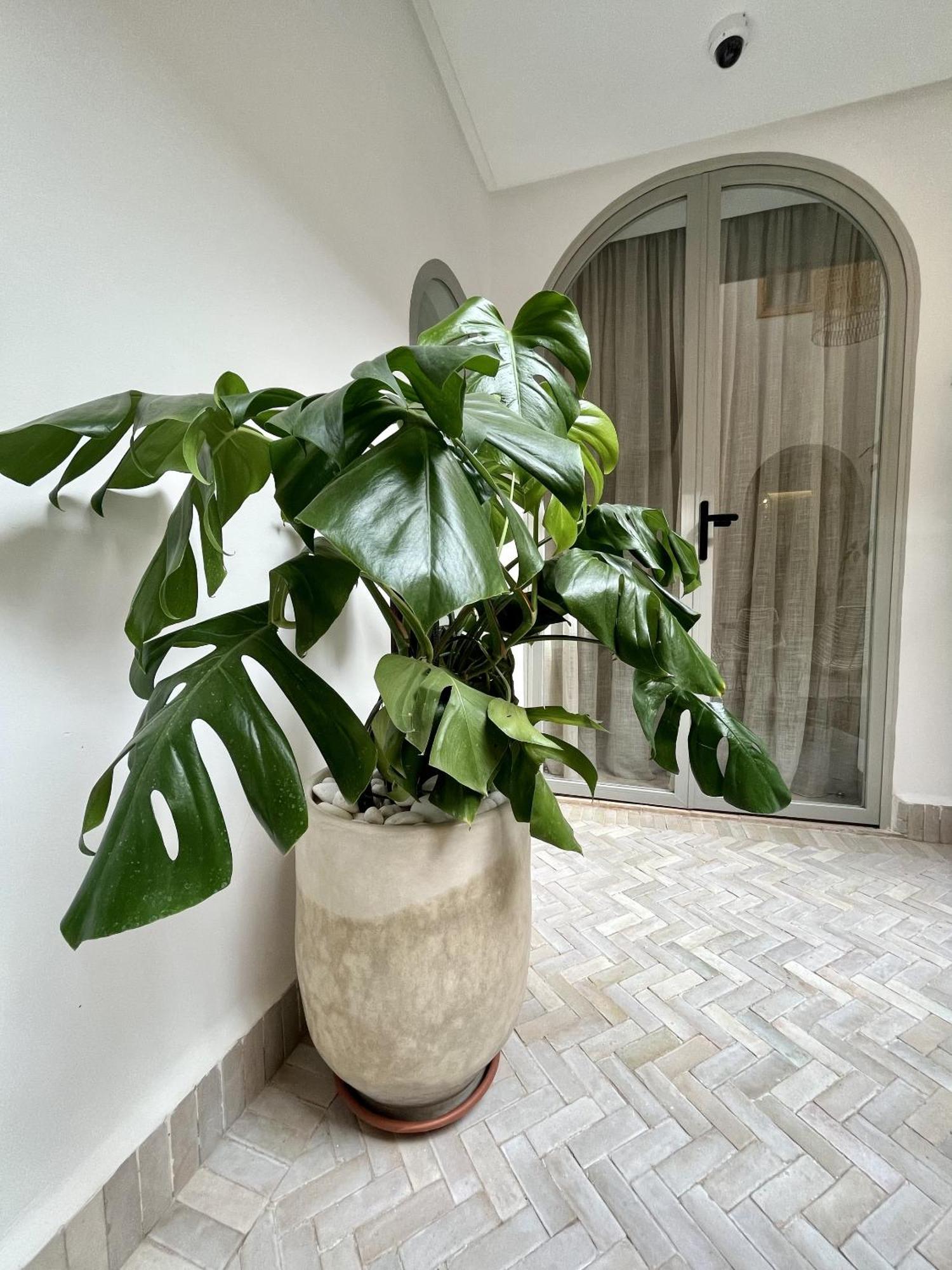 Riad Dar Bayane Маракеш Екстериор снимка